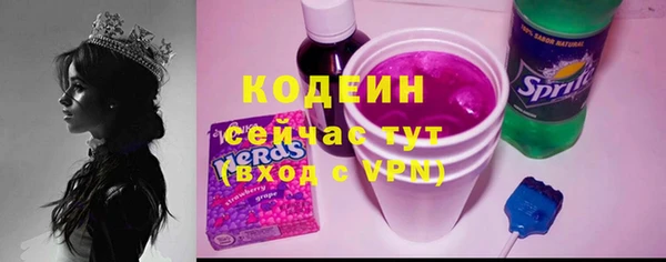 гашик Снежногорск