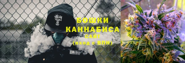 мдпв Верея