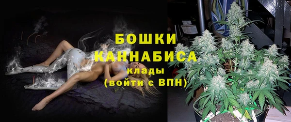 мдпв Верея